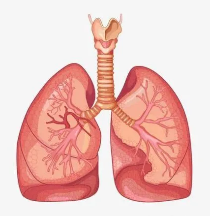 重庆中医肿瘤医院科普|肺癌的高发人群清单,记得收藏