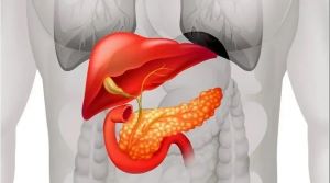 重庆中医治疗胰腺癌好的医师:胰腺癌和糖尿病应该怎么区分呢
