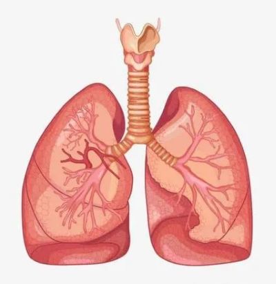 中医治发生骨转移的肺癌的神奇之处,看完重庆御和堂案例你就明白了
