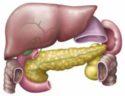 中医是如何治疗胰腺癌的?老中医罗登祥:辨证与辨病相结合